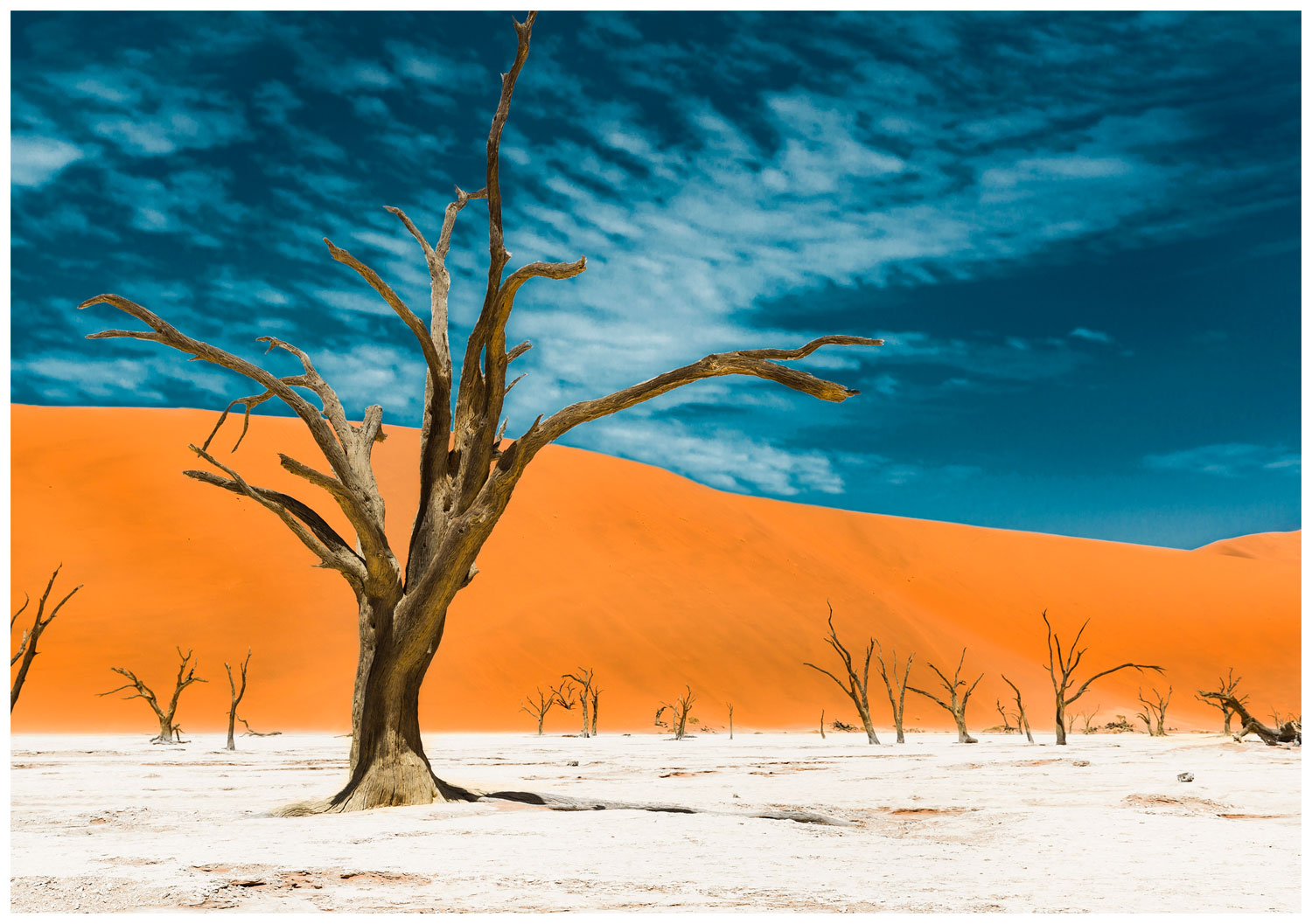 Deadvlei