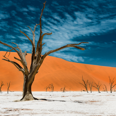 Deadvlei in Namibia - Reisefotografie