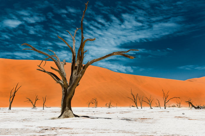 Deadvlei in Namibia - Reisefotografie